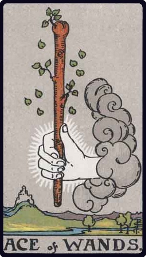 タロットカード ワンドのエース The Ace of Wands(ウェイト版)